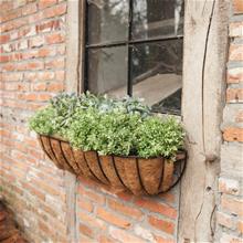 Bild Väggampel ink. kokosinsats 80 x 21cm