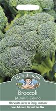 Bild Broccoli (Höst) 'Covina'