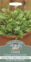 Bild Mangold 'Rhubarb Chard Charlotte'