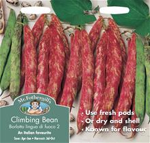 Bild Klätterböna 'Borlotto lingua'