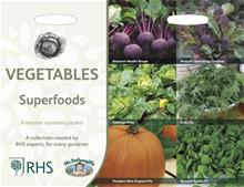 Bild Grönsaker 'Superfoods' 6 sorter Collection