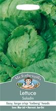 Bild Isbergssallad 'Saladin'