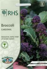 Bild Broccoli 'Cardinal', frö