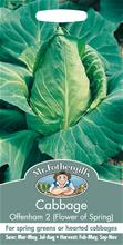 Bild Kål 'Offenham 2'