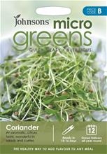 Bild Microgreens Koriander