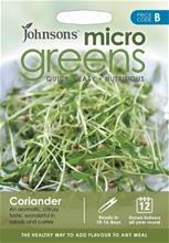 Bild Microgreens Koriander