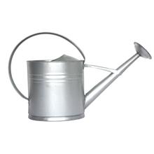 Bild Vattenkanna i Zink