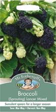 Bild Broccoli 'Lancer Mix' - Frö