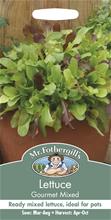 Bild Plocksallat 'Gourmet Mixed'