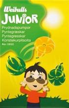 Bild Junior Prydnadspumpor