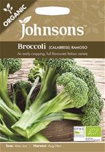 Bild Broccoli  'Ramoso' Organic