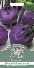 Bild Kålrabbi 'Modrava' F1