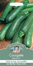 Bild Zucchini 'Patriot F1'