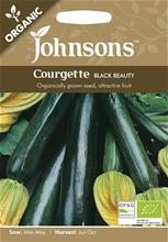 Bild Sommarsquash 'Black Beauty' Organic