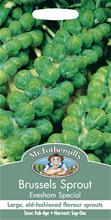 Bild Brysselkål 'Evesham Special'