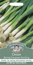 Bild Salladslök 'Evergreen Bunching'