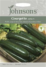 Bild Zucchini 'Astia F1'