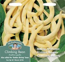 Bild Klätterböna 'Anellino Giallo'