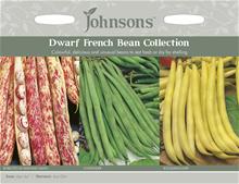Bild Brytböna 'Dwarf French Bean Collection' 3 sorter
