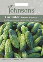 Bild Frilandsgurka 'Bohemia F1'