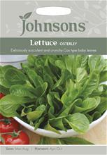 Bild Sallat 'Osterley'