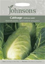 Bild Kål 'Durham Early'