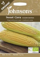 Bild Majs 'Golden Bantam' Organic