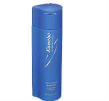 Bild Kanebo Sensai Volumising Shampoo