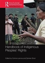 Bild Handbook of Indigenous Peoples' Rights