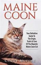Bild Maine Coon: Your Definitive Guide to The Origin, Traits & Care Of The Majestic Maine Coon Cat