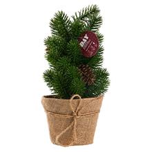 Bild Day Julgran med LED-belysning - 33cm