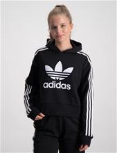 Bild Adidas Originals, CROPPED HOODIE, Svart, Huvtröjor/Hoodies till Tjej, 170 cm