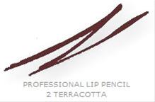 Bild Collistar Professional Lip Pencil 02 Terracotta