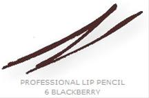 Bild Collistar Professional Lip Pencil 06 Blackberry