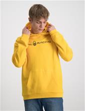 Bild Sail Racing, JR BOWMAN HOOD, Gul, Huvtröjor/Hoodies till Kille, 176 cm