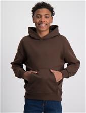 Bild Grunt, Hanz Hood, Brun, Huvtröjor/Hoodies till Kille, 170-176 cm