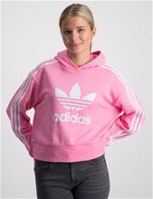 Bild Adidas Originals, CROPPED HOODIE, Rosa, Huvtröjor/Hoodies till Tjej, 146 cm