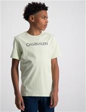 Bild Calvin Klein, INSTITUTIONAL T-SHIRT, Grön, T-shirts till Kille, 10 år
