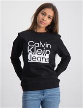 Bild Calvin Klein, BOX LOGO SWEATSHIRT, Svart, Tröjor/Sweatshirts till Tjej, 16 år