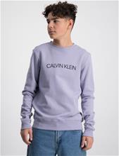 Bild Calvin Klein, INSTITUTIONAL LOGO SWEATSHIRT, Lila, Tröjor/Sweatshirts till Kille, 16 år