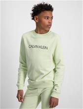 Bild Calvin Klein, INSTITUTIONAL LOGO SWEATSHIRT, Grön, Tröjor/Sweatshirts till Kille, 12 år