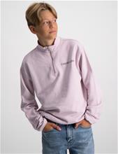 Bild Calvin Klein, INST. LOGO ZIP-UP SWEATSHIRT, Rosa, Tröjor/Sweatshirts till Kille, 16 år