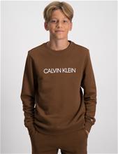 Bild Calvin Klein, INSTITUTIONAL LOGO SWEATSHIRT, Brun, Tröjor/Sweatshirts till Kille, 12 år