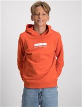 Bild Calvin Klein, SMALL BLOCK LOGO HOODIE, Orange, Huvtröjor/Hoodies till Kille, 12 år