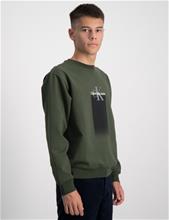 Bild Calvin Klein, GRADIENT LOGO SWEATSHIRT, Grön, Tröjor/Sweatshirts till Kille, 16 år