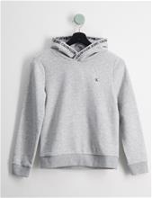 Bild Calvin Klein, INTARSIA LOGO HOODIE, Grå, Huvtröjor/Hoodies till Tjej, 10 år