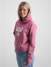 Bild Hummel, hmlCUATRO HOODIE, Rosa, Huvtröjor/Hoodies till Kille, 146 cm