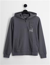 Bild EA7 Emporio Armani, FELPA, Grå, Huvtröjor/Hoodies till Unisex, 14 år