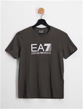 Bild EA7 Emporio Armani, T-SHIRT, Grön, T-shirts till Unisex, 14 år