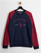 Bild U.S. Polo Assn., USPA Arch Raglan Crew BB, Blå, Tröjor/Sweatshirts till Kille, 8-9 år